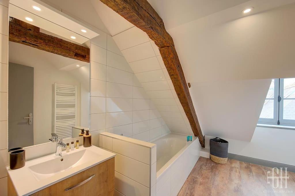 Le Voltaire / Colbert - Bord De Loire Apartment Tours
