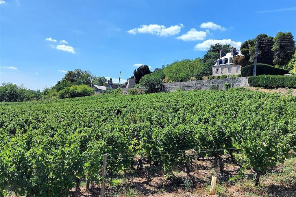 Apartment Le Voltaire / Colbert - Bord De Loire Tours